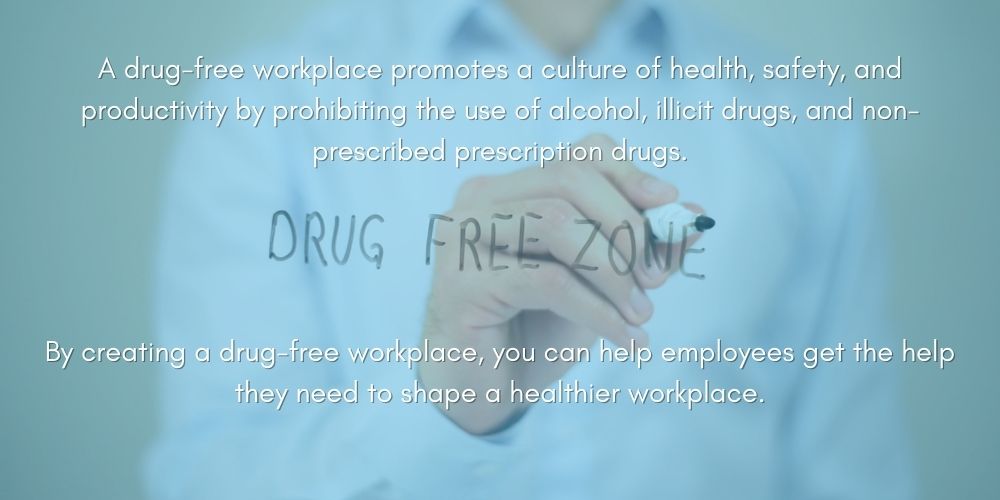 Drug Awareness Program: 10 Steps To Create A Drug Free Training Program