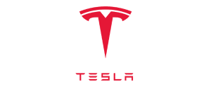 coggno-client-tesla