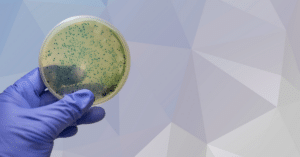 How Can Cross-Contamination Be Avoided at Work