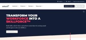Skillsoft