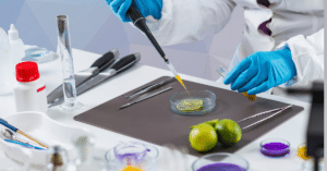 What Procedures Ensure Food Safety at Workplaces